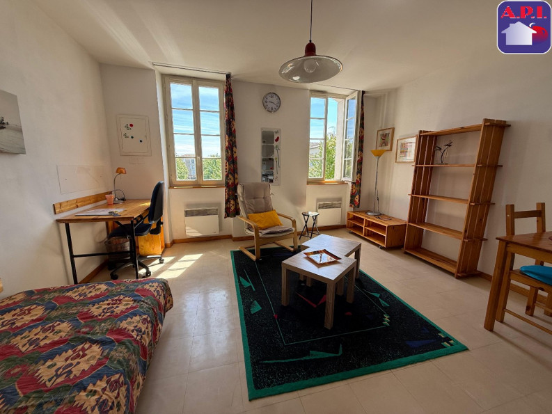 vente Immeuble Pamiers - Photo 2