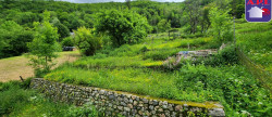 vente Maison Massat