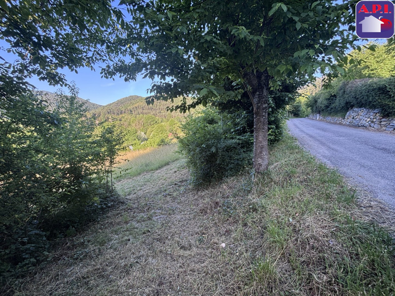 vente Terrain Belcaire - Photo 3