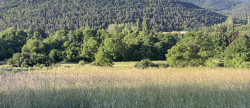 vente Terrain Belcaire