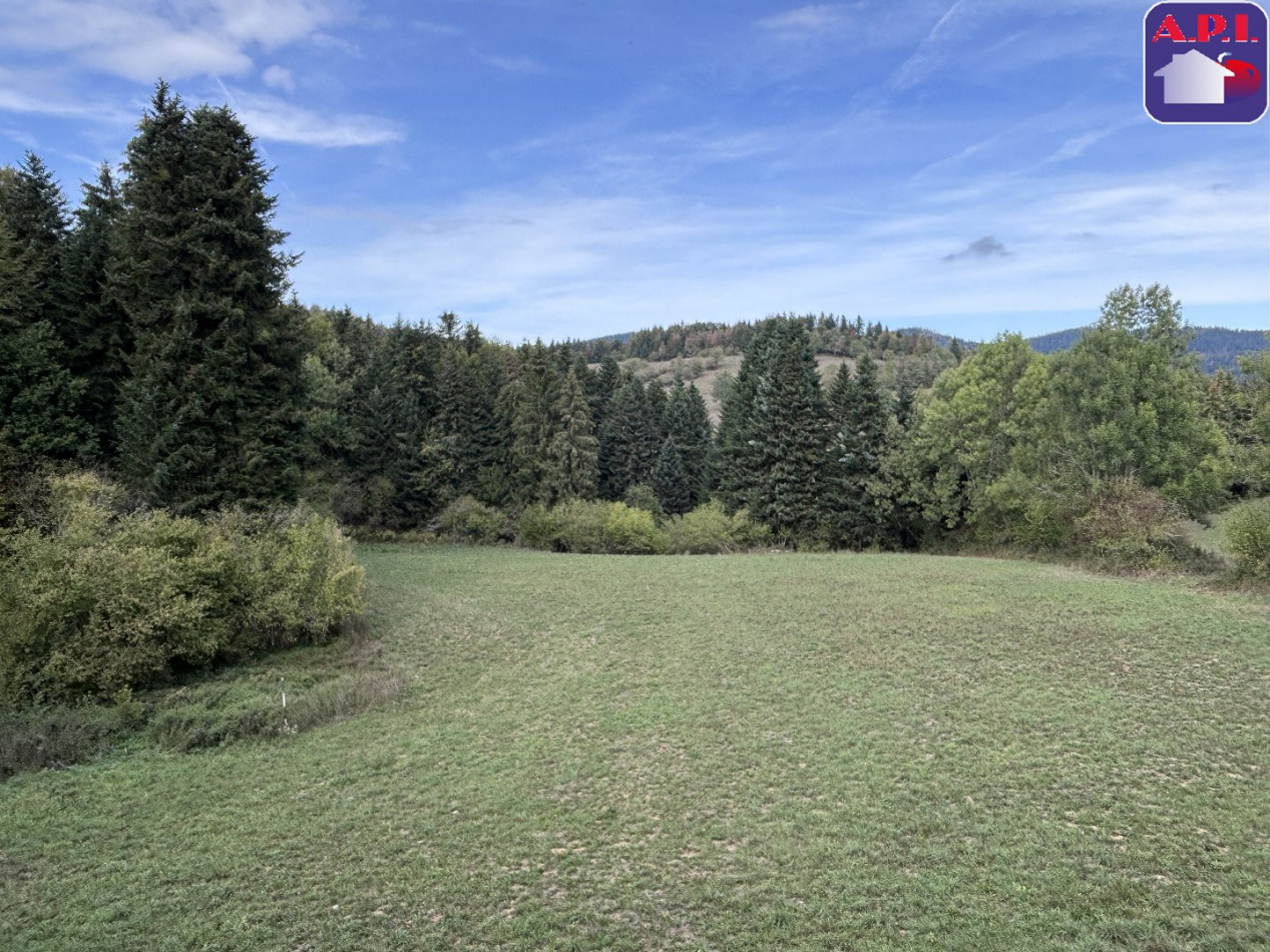 vente Maison de hameau Roquefeuil - Photo 3