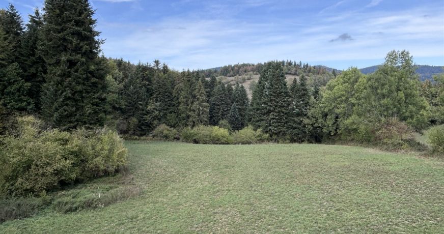 vente Maison de hameau Roquefeuil