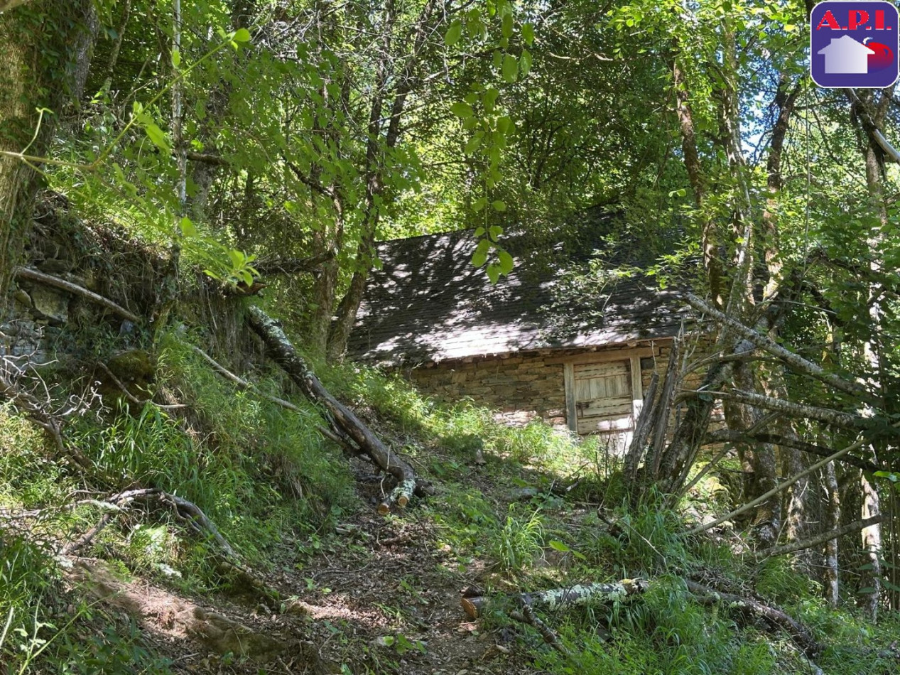 vente Grange Sentein - Photo 5