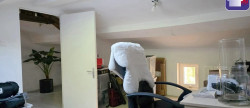 vente Immeuble Saverdun