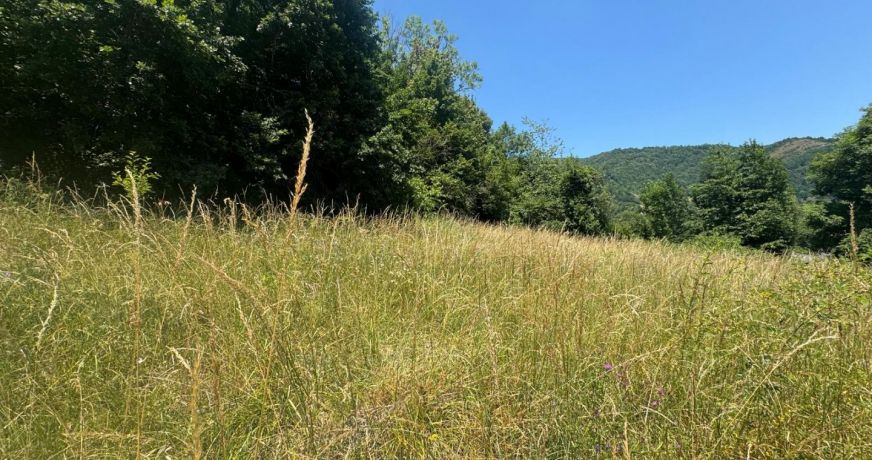 vente Terrain Saurat