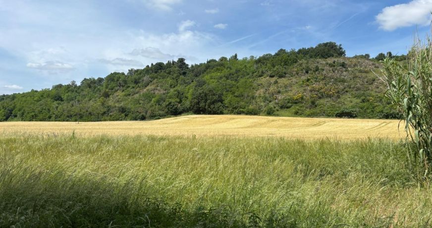 vente Corps de ferme Mazeres