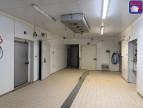 vente Locaux d'activité Ferrieres Sur Ariege