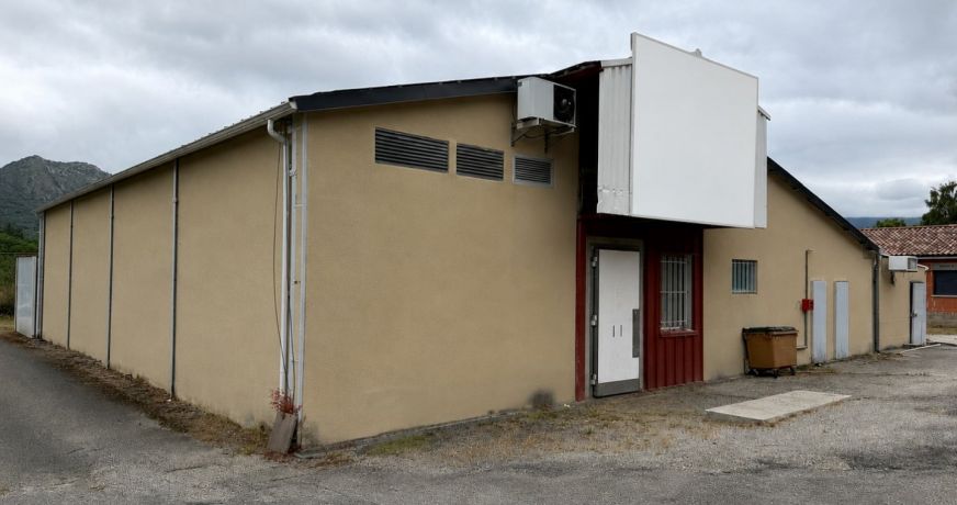 vente Locaux d'activité Ferrieres Sur Ariege