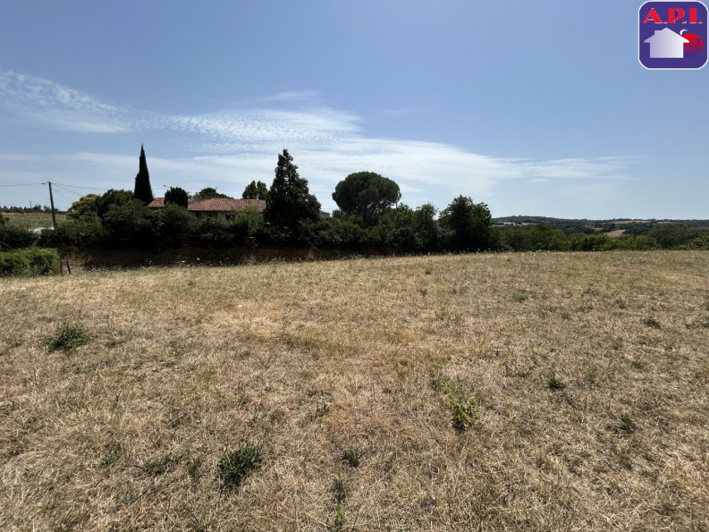 vente Terrain Saverdun - Photo 1