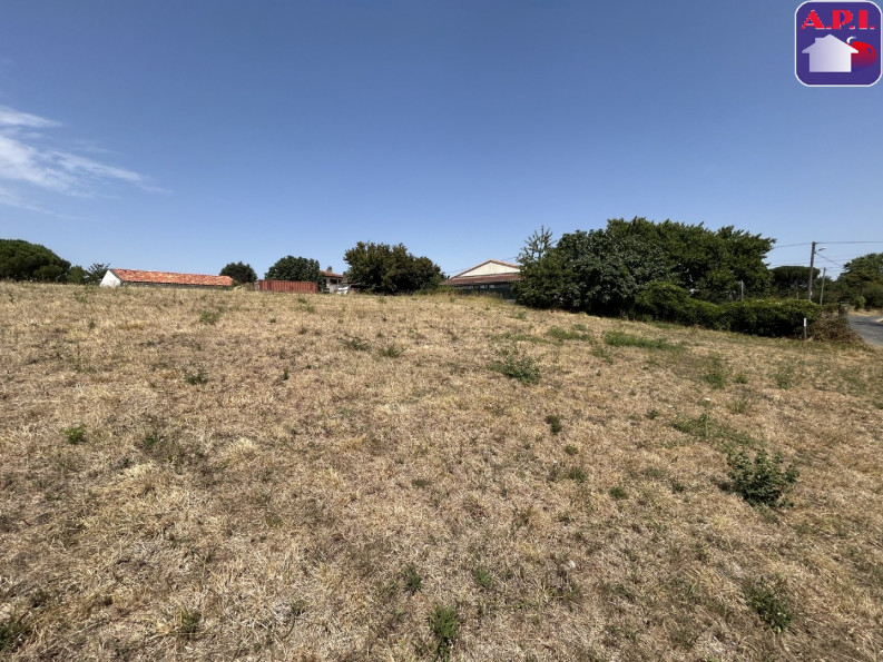 vente Terrain Saverdun - Photo 3
