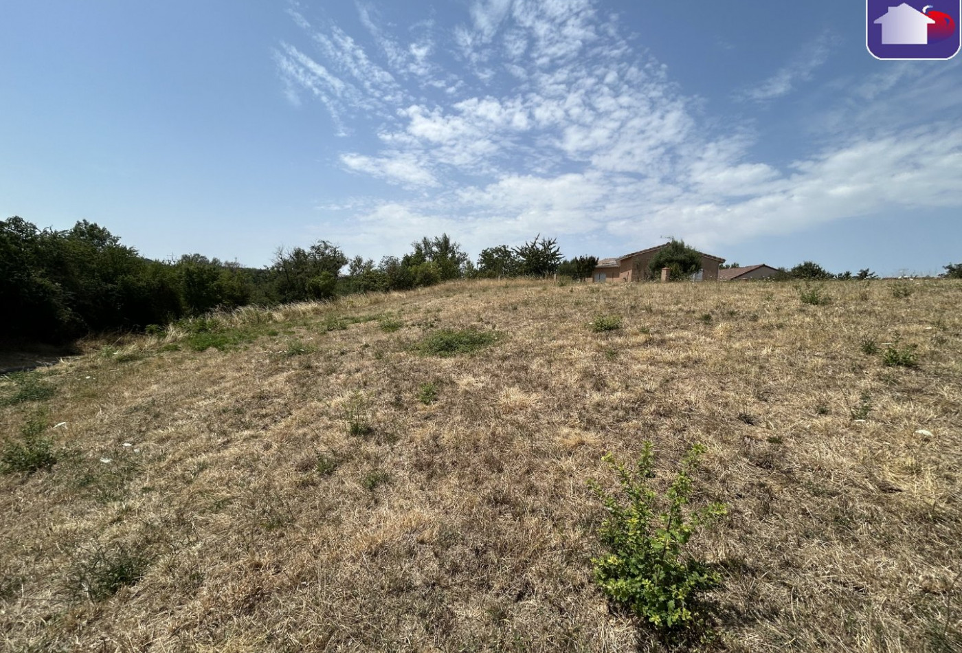 vente Terrain Saverdun - Photo 1
