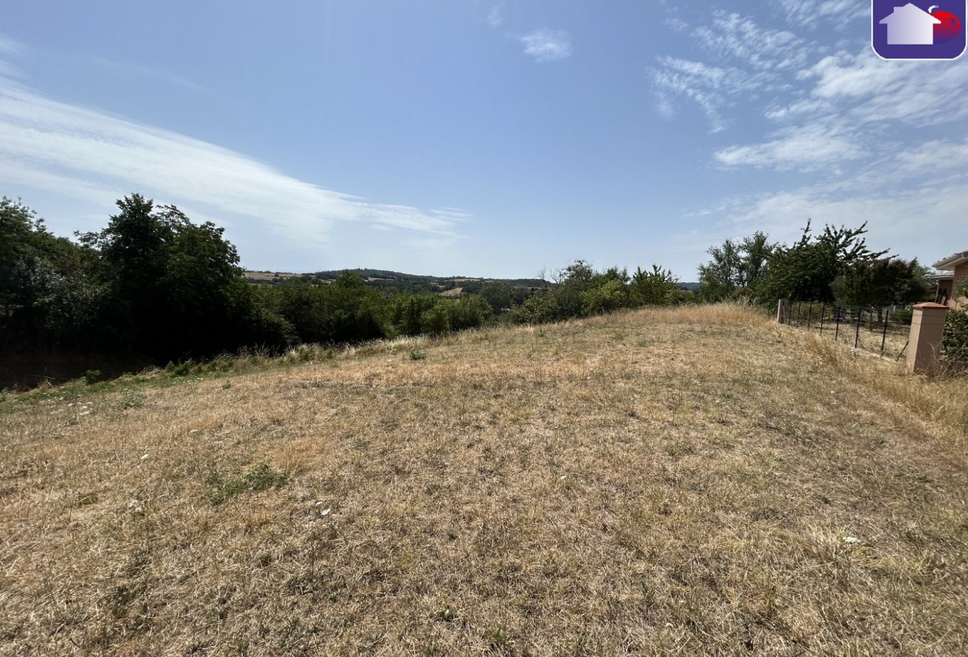 vente Terrain Saverdun - Photo 2