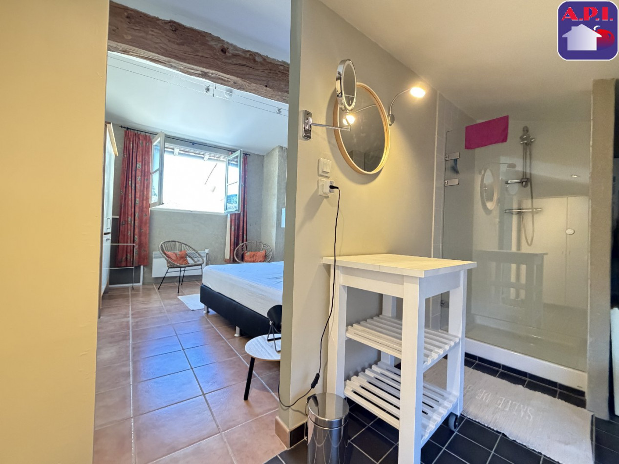 vente Triplex Lagarde - Photo 10
