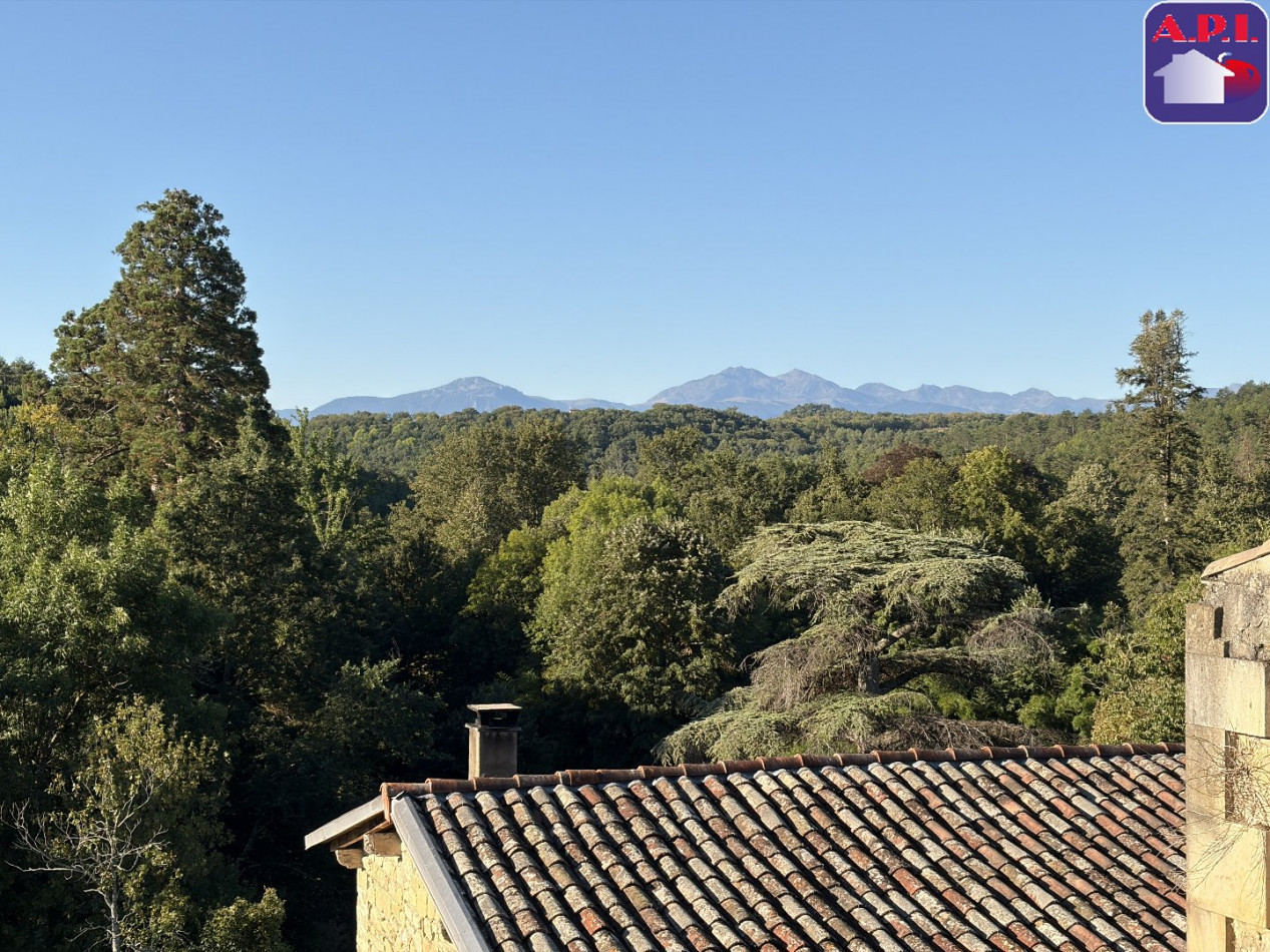 vente Triplex Lagarde - Photo 11