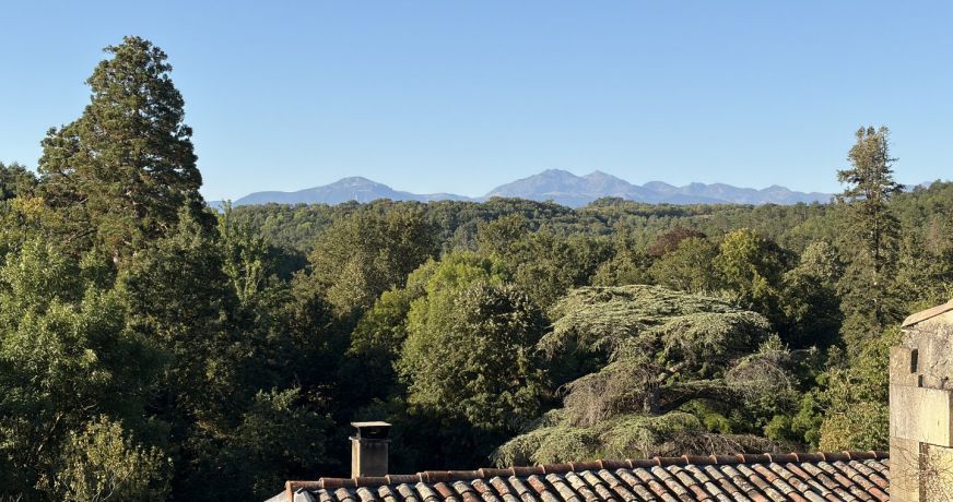 vente Triplex Lagarde