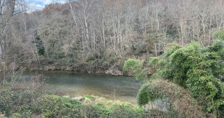 vente Maison à rénover Cintegabelle