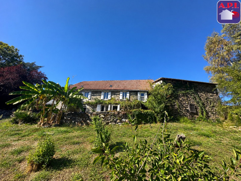 vente Maison Galey - Photo 1