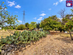 vente Terrain Pamiers