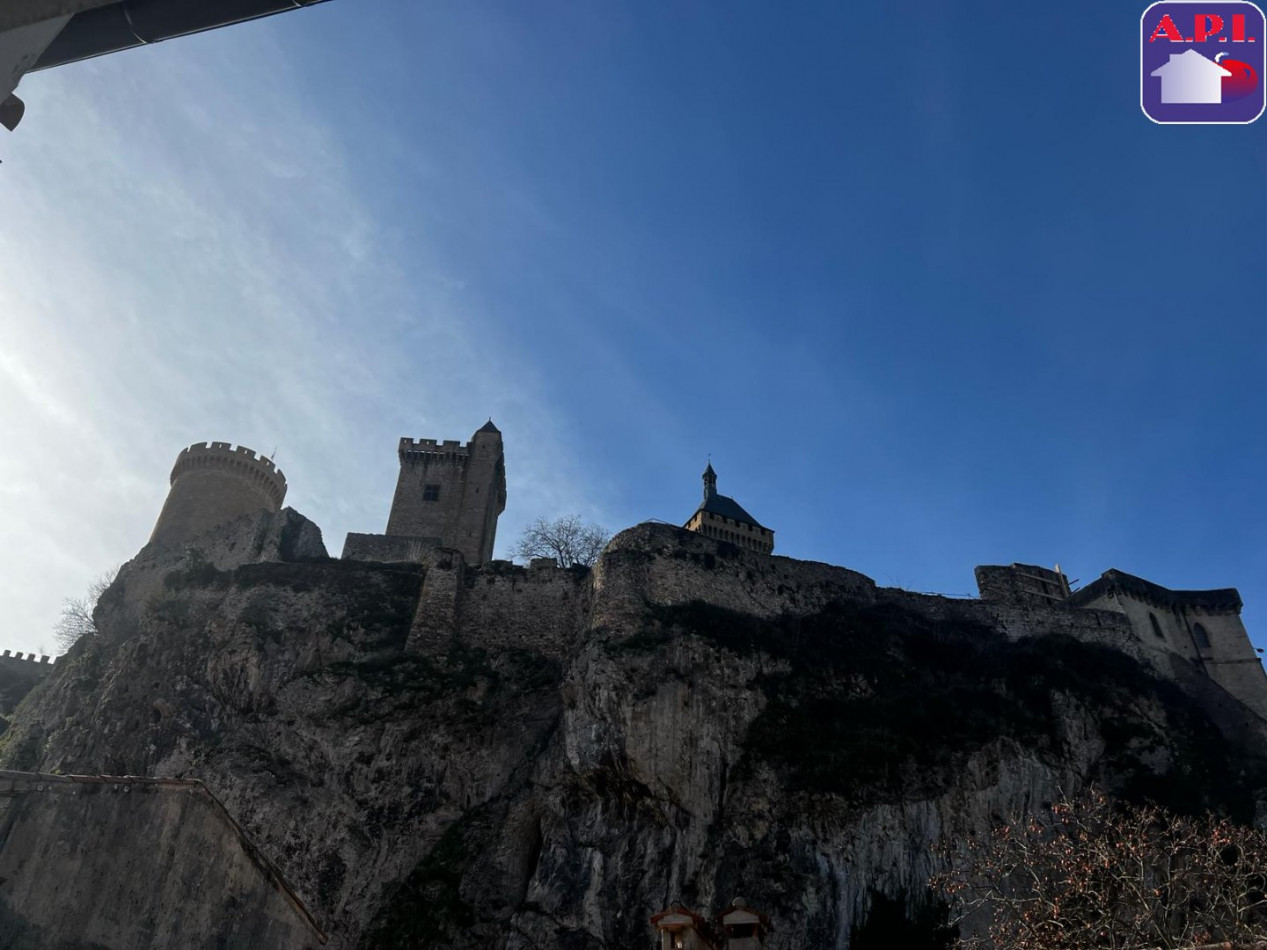 location Appartement Foix - Photo 7