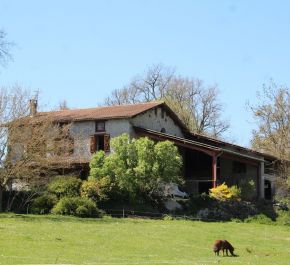 A vendre Saint Girons | Réf 0900565 - Demeures maisons patrimoine