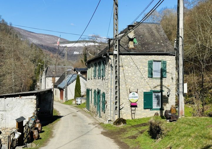vente Maison individuelle Saint Lary