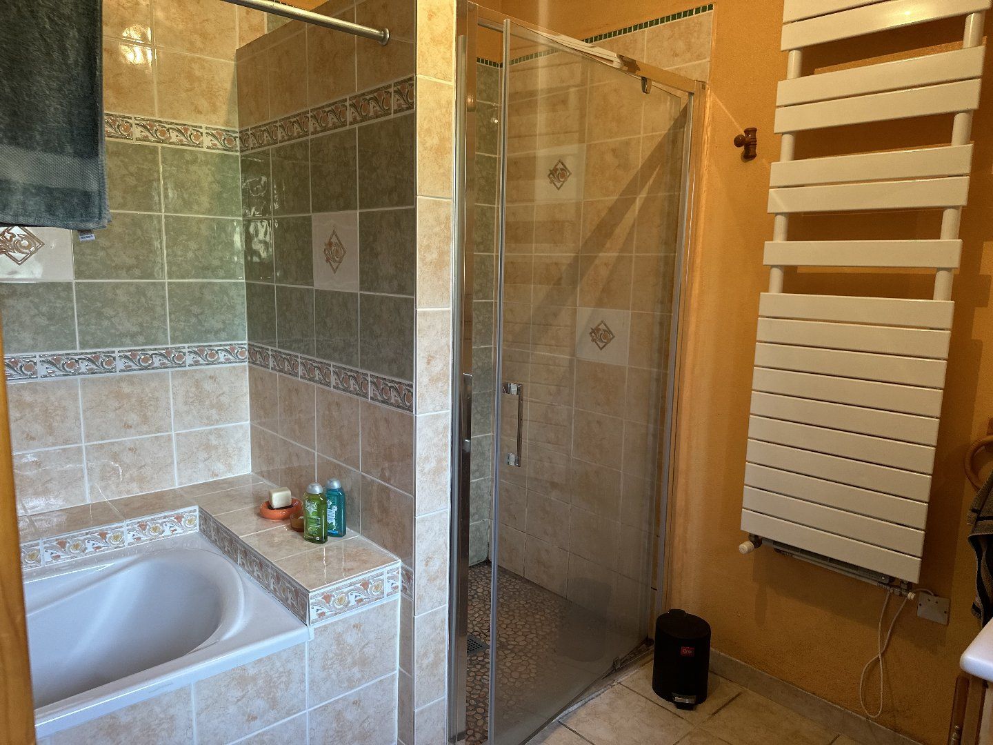 à vendre Maison et terrain Soueix