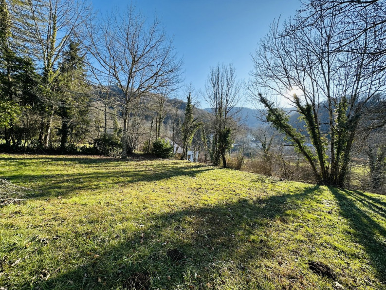 sale Maison Erce - Photo 1