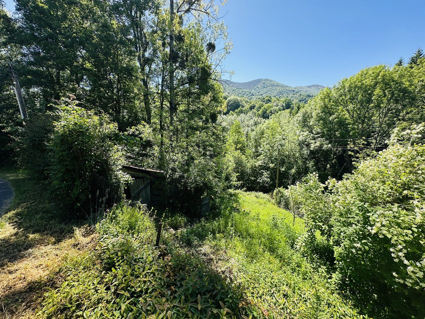 à vendre Maison individuelle Biert