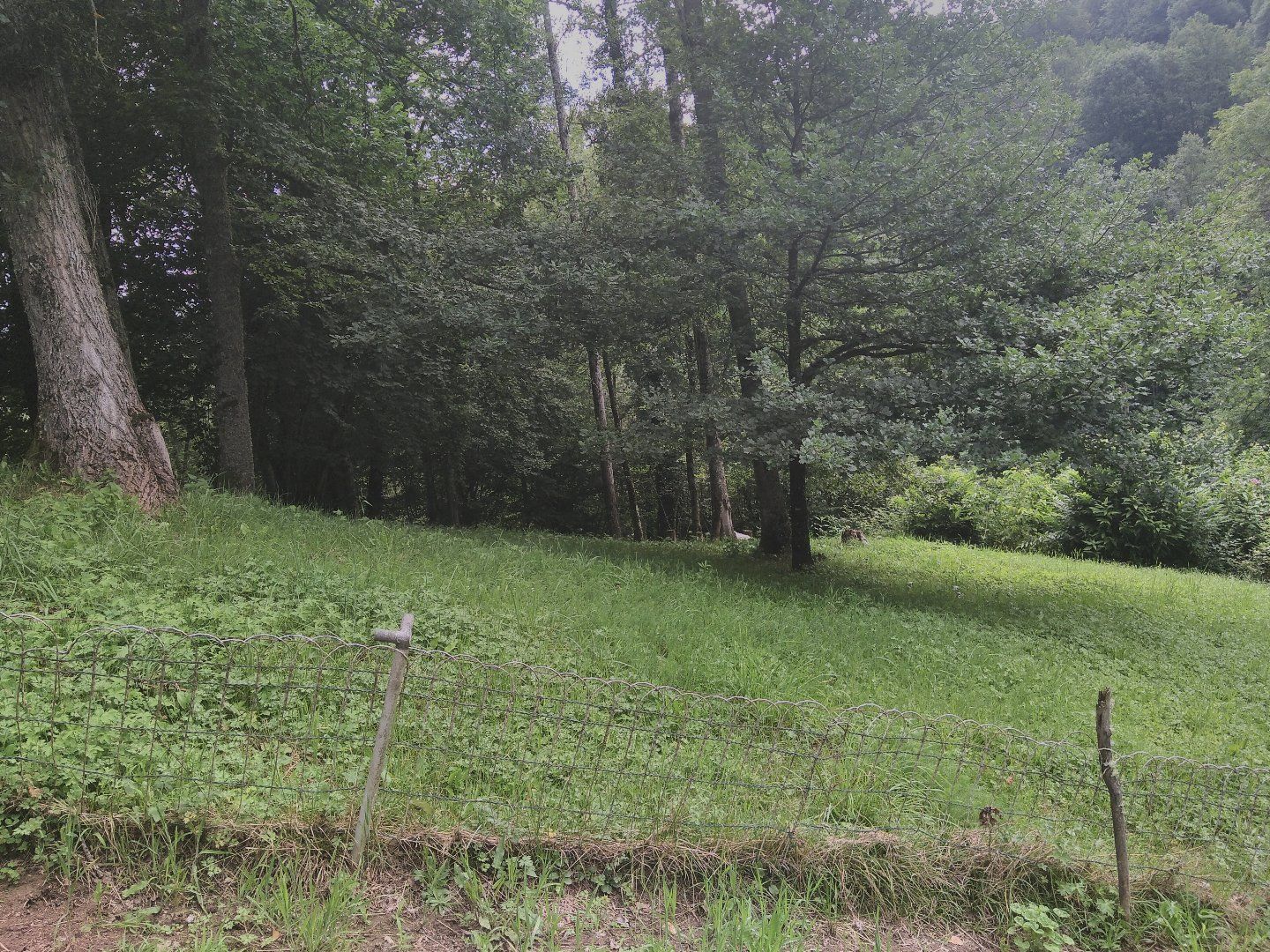 à vendre Maison individuelle Biert