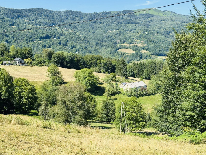 sale Propriété agricole Massat - Photo 1