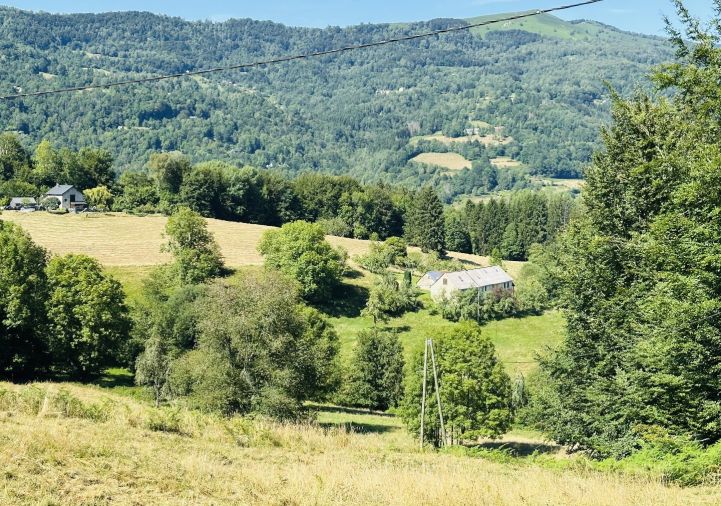 vente Propriété agricole Massat