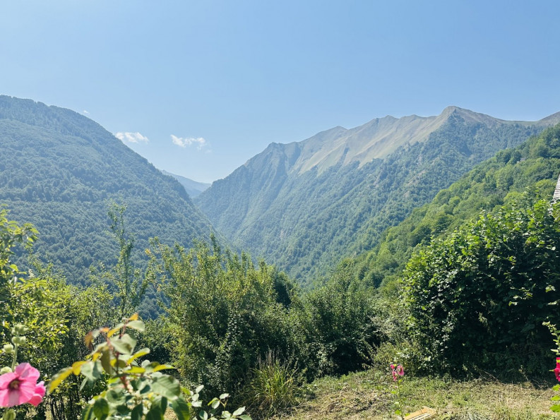 vente Maison en pierre Sentein - Photo 3