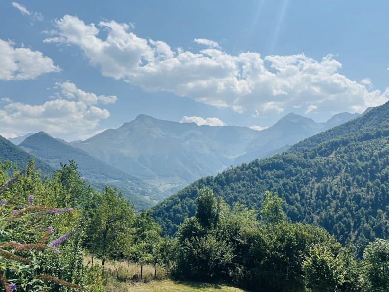 vente Maison en pierre Sentein - Photo 4