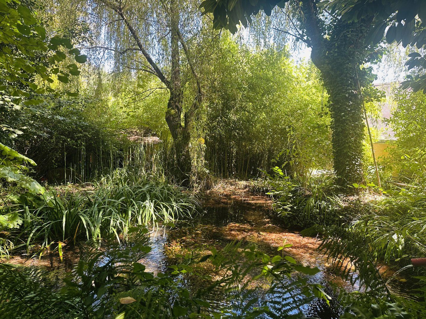 à vendre Maison bio climatique Aucazein