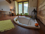 à vendre Maison Foix