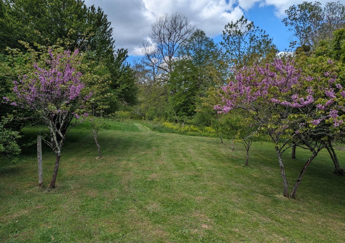 vente Propriété La Bastide De Serou