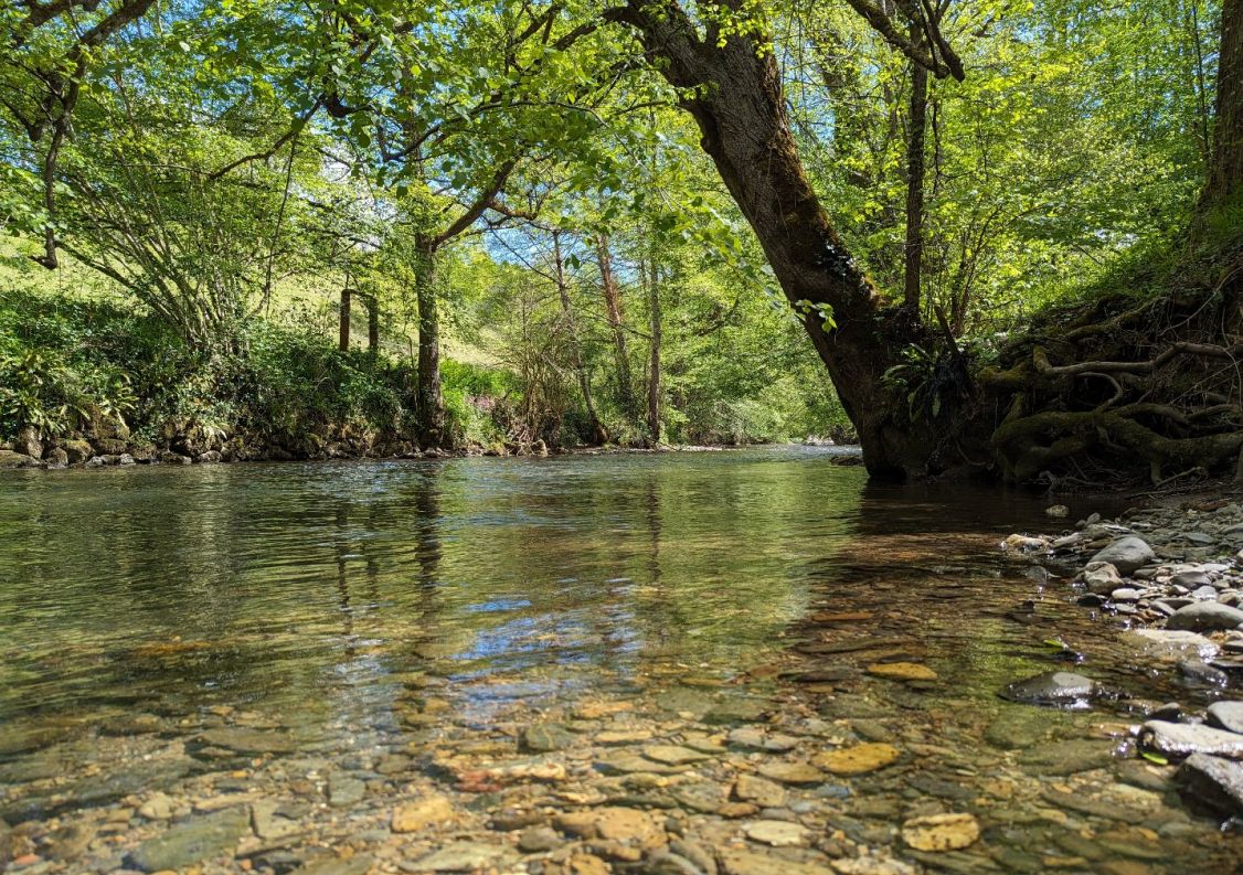 vente Propriété La Bastide De Serou