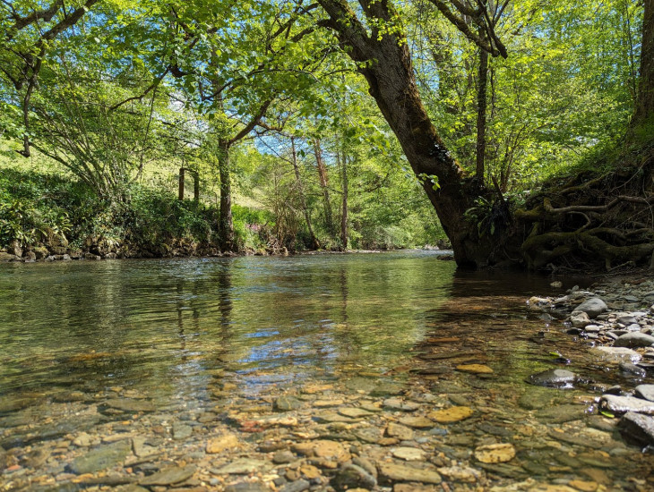 à vendre Propriété La Bastide De Serou