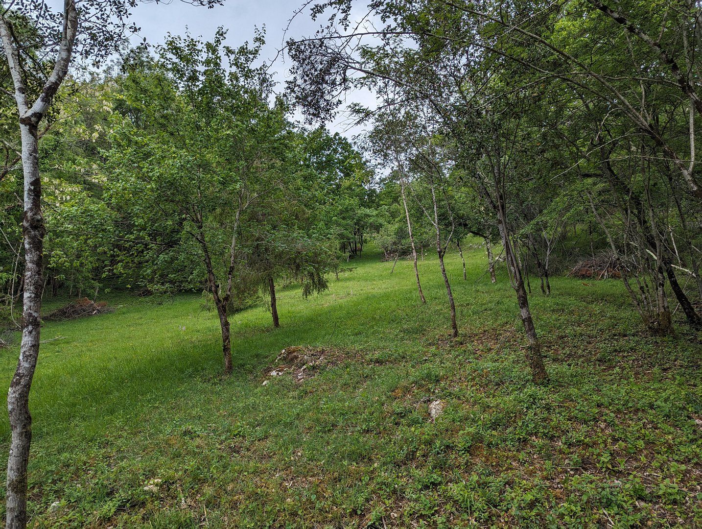 à vendre Ferme La Bastide De Serou
