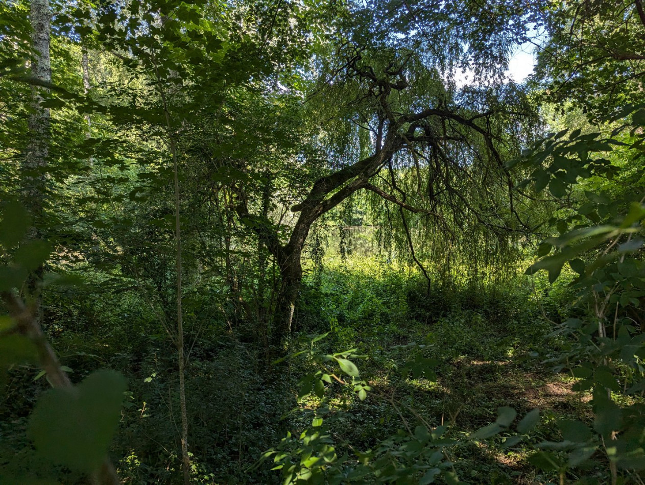 sale Manoir Saint Girons - Photo 17