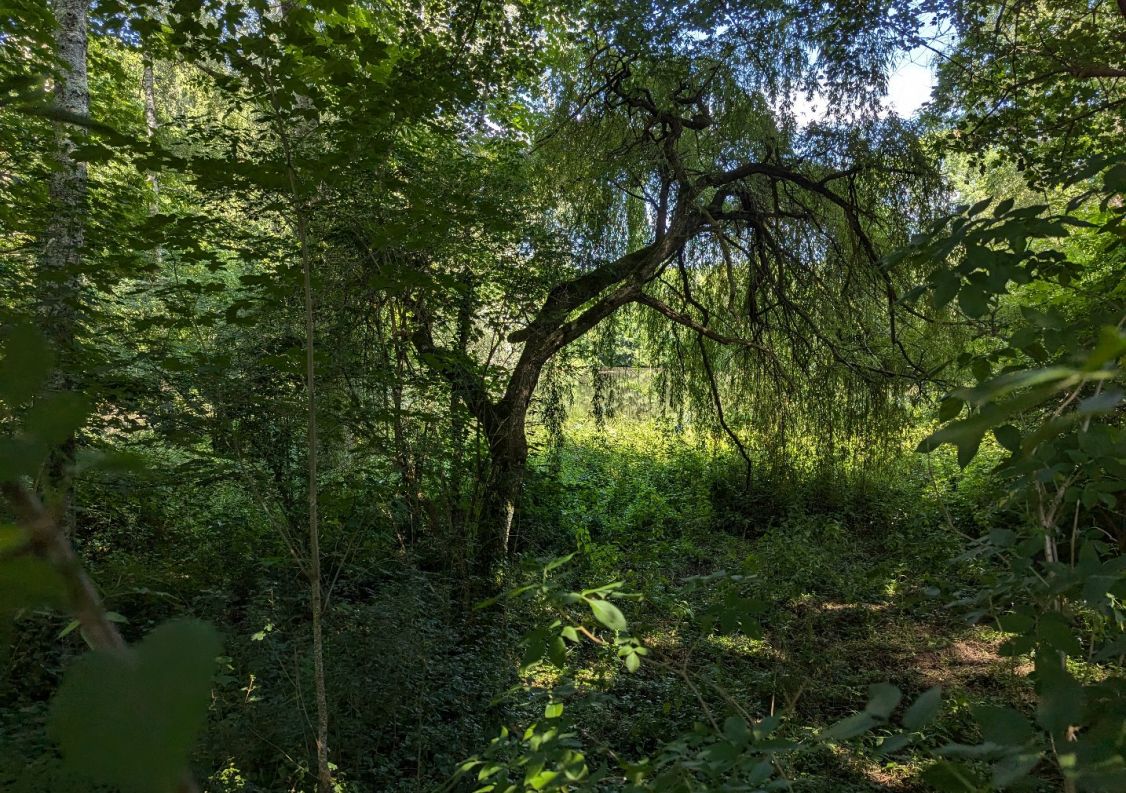 vente Manoir Saint Girons