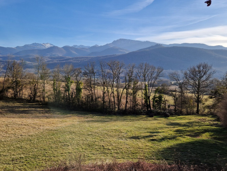 sale Propriété Leychert - Photo 2