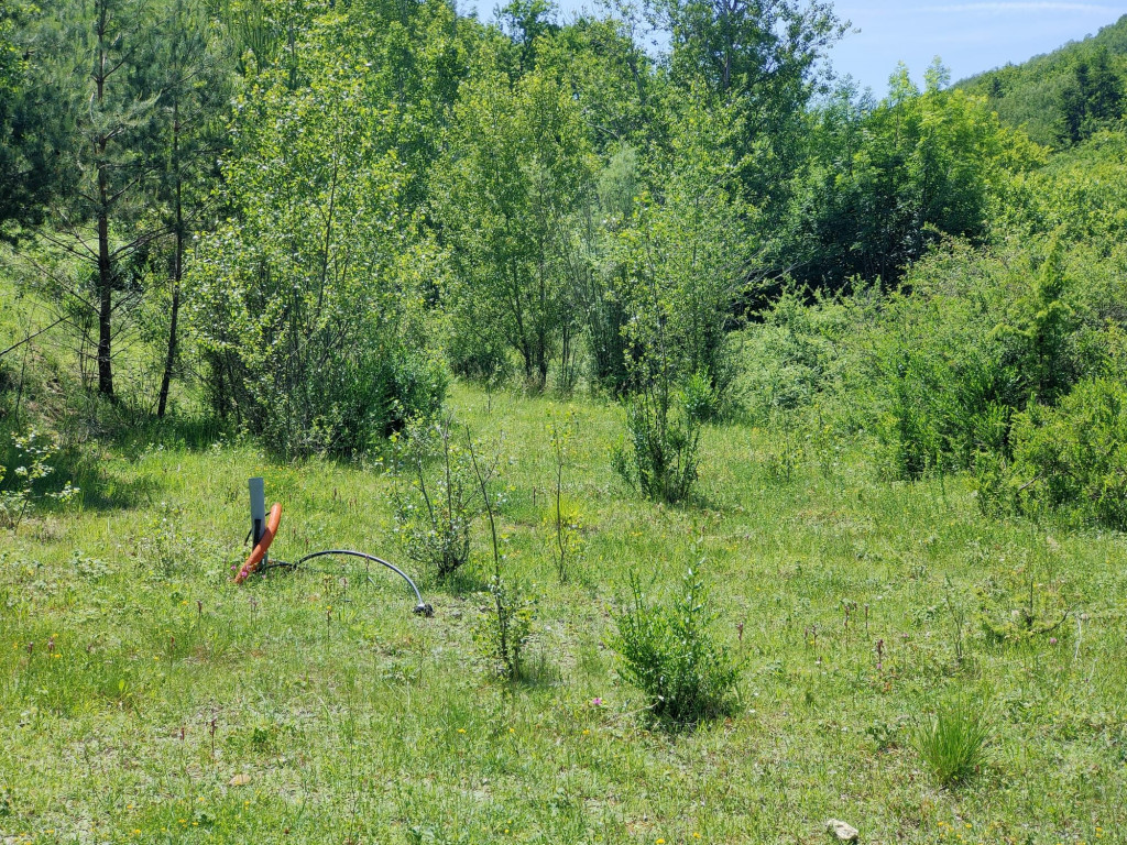 à vendre Propriété Chalabre - Photo 19