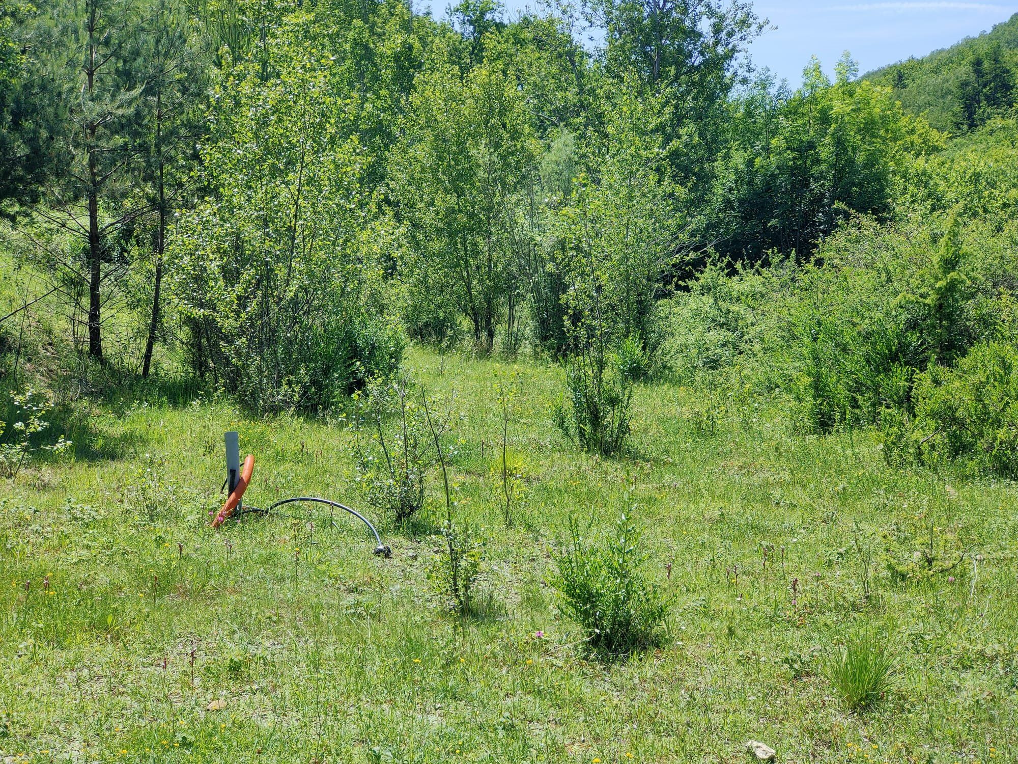 à vendre Propriété Chalabre