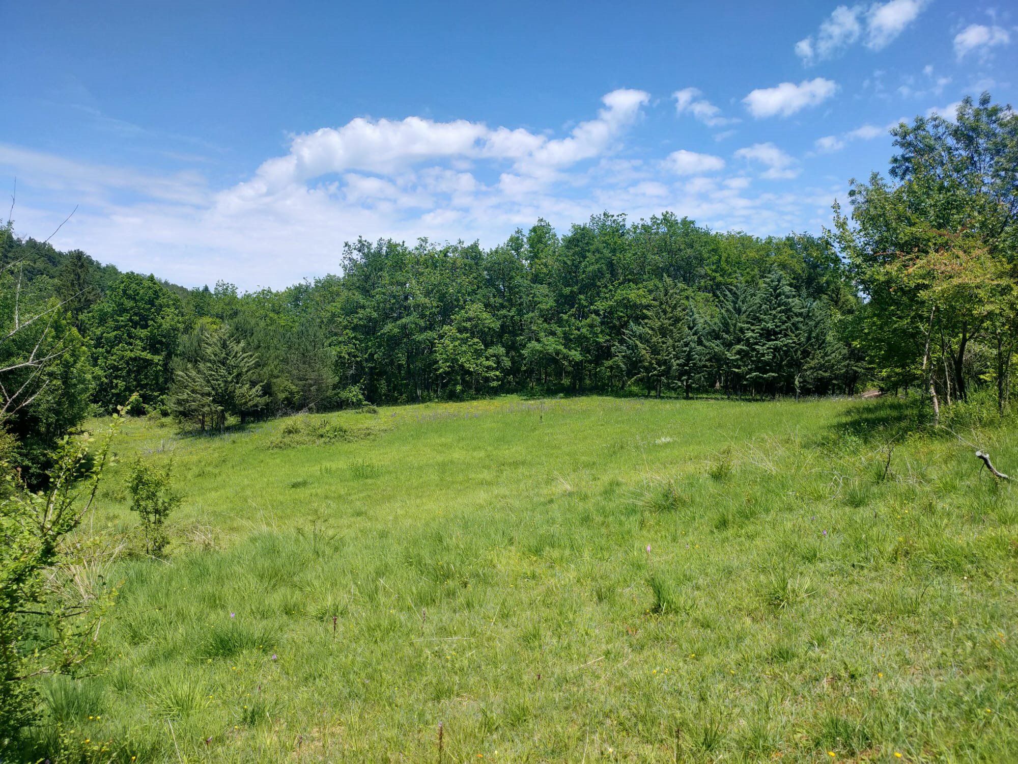 à vendre Propriété Chalabre