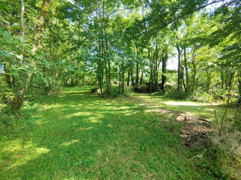 sale Propriété Lavelanet - Photo 20