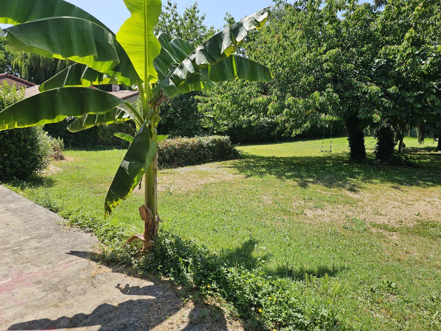 à vendre Maison individuelle Mirepoix