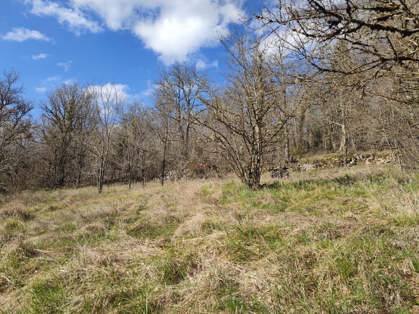 à vendre Maison mitoyenne L'aiguillon