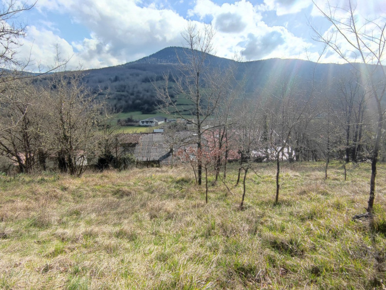 vente Maison mitoyenne L'aiguillon - Photo 3