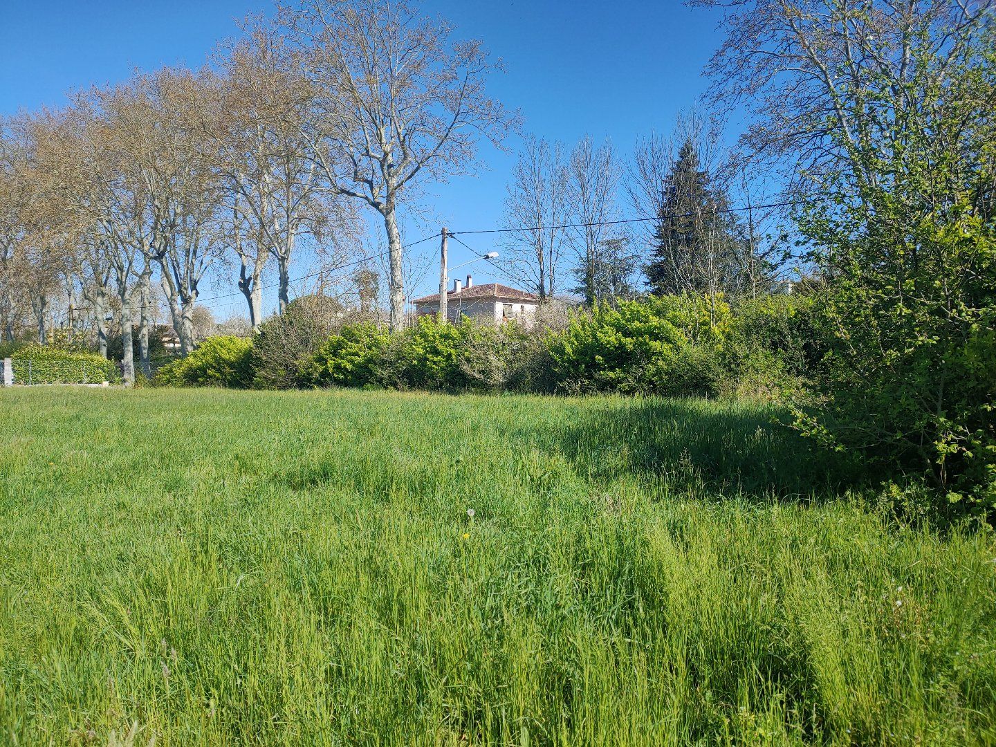 à vendre Maison Baziege